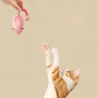 S5219a77cf89d49829a7ff9088adaa3c7Y.webp