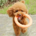 S6a5fc7edf83c4d109d3b89c8a19cce5bs.webp