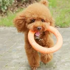 S8b81579efa0340e7ae35f357e7f700f2K.webp